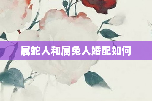 属蛇人和属兔人婚配如何