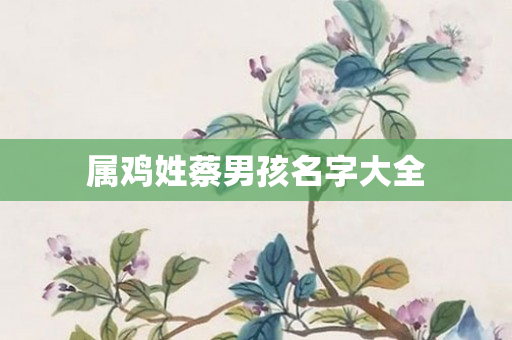 属鸡姓蔡男孩名字大全