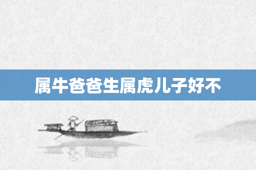 属牛爸爸生属虎儿子好不