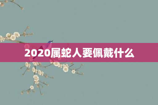 2020属蛇人要佩戴什么