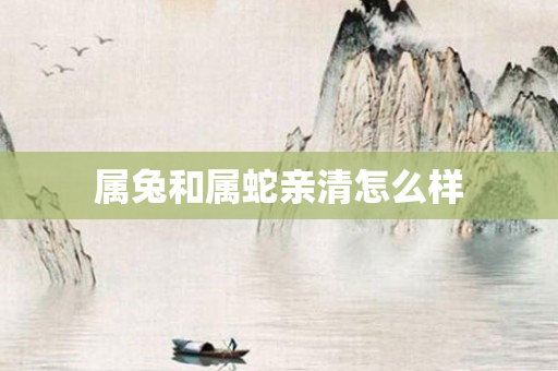 属兔和属蛇亲清怎么样