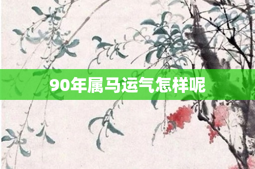 90年属马运气怎样呢