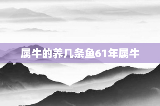 属牛的养几条鱼61年属牛