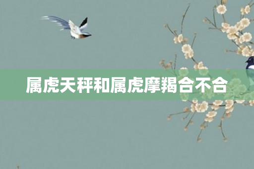 属虎天秤和属虎摩羯合不合