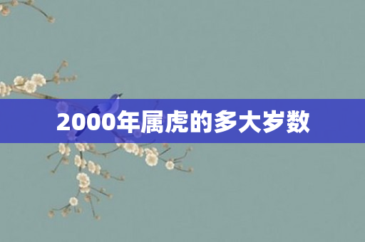 2000年属虎的多大岁数