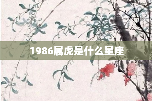 1986属虎是什么星座