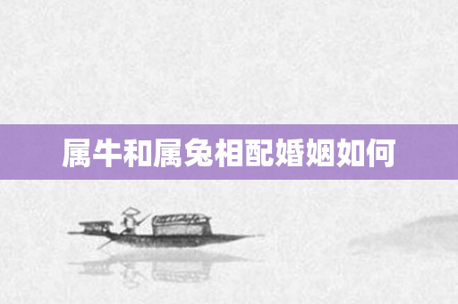 属牛和属兔相配婚姻如何