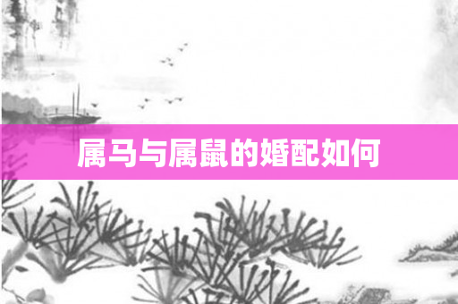 属马与属鼠的婚配如何