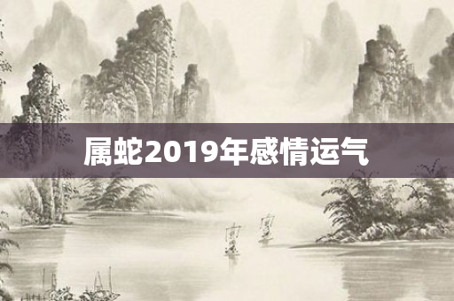 属蛇2019年感情运气