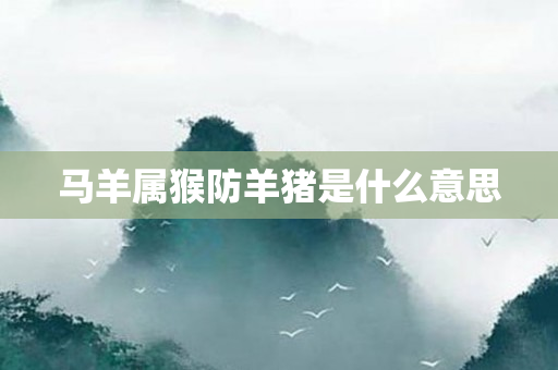 马羊属猴防羊猪是什么意思