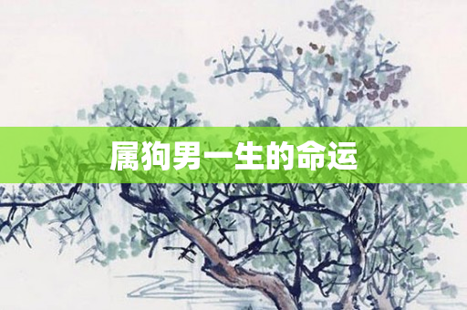属狗男一生的命运