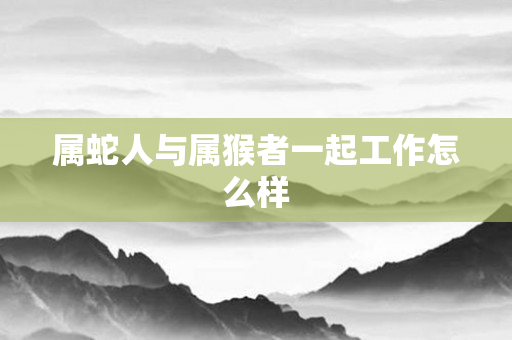属蛇人与属猴者一起工作怎么样