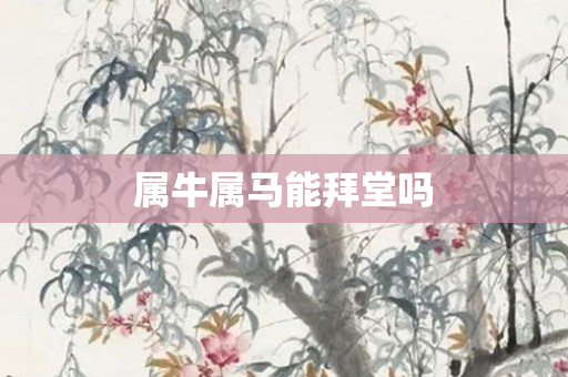 属牛属马能拜堂吗