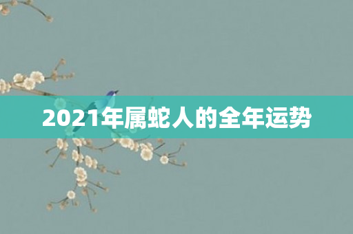 2021年属蛇人的全年运势