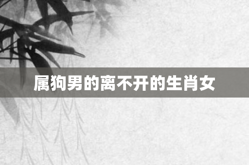 属狗男的离不开的生肖女