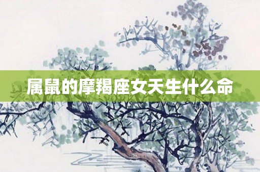 属鼠的摩羯座女天生什么命
