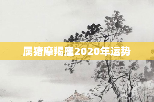 属猪摩羯座2020年运势