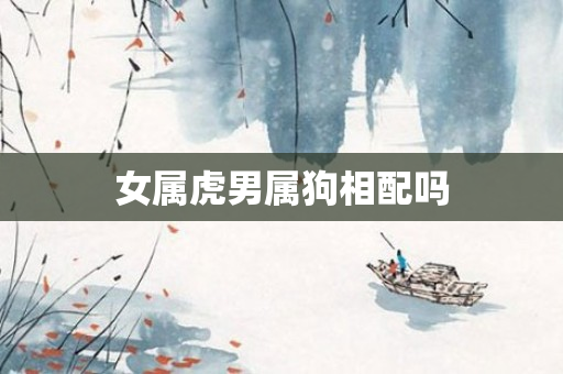 女属虎男属狗相配吗