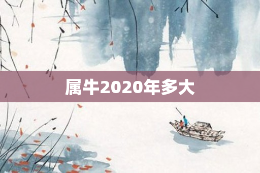 属牛2020年多大