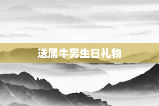 送属牛男生日礼物