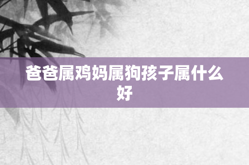 爸爸属鸡妈属狗孩子属什么好