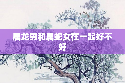 属龙男和属蛇女在一起好不好
