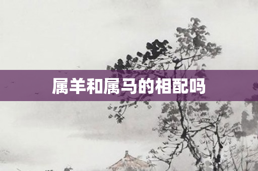属羊和属马的相配吗