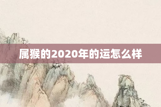 属猴的2020年的运怎么样