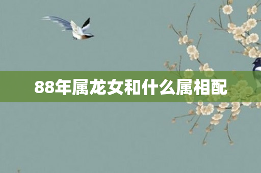 88年属龙女和什么属相配