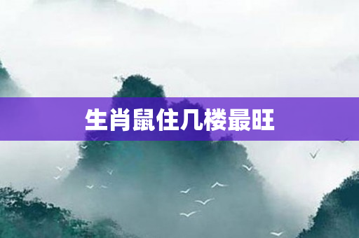 生肖鼠住几楼最旺