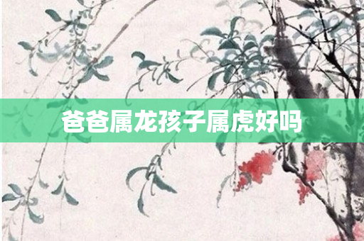 爸爸属龙孩子属虎好吗