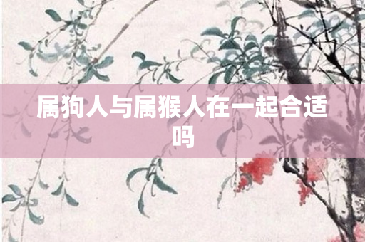 属狗人与属猴人在一起合适吗