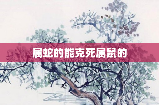 属蛇的能克死属鼠的