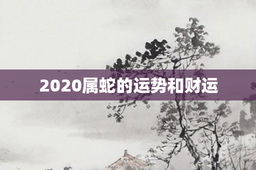 2020属蛇的运势和财运
