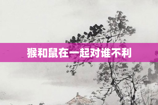 猴和鼠在一起对谁不利