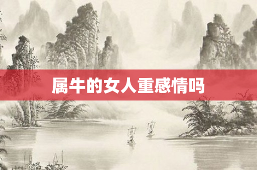 属牛的女人重感情吗
