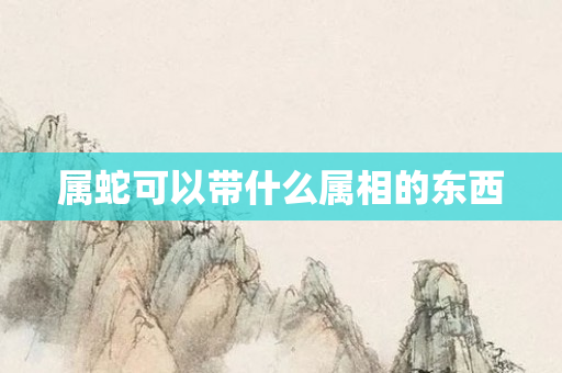 属蛇可以带什么属相的东西
