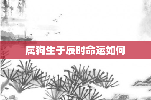 属狗生于辰时命运如何