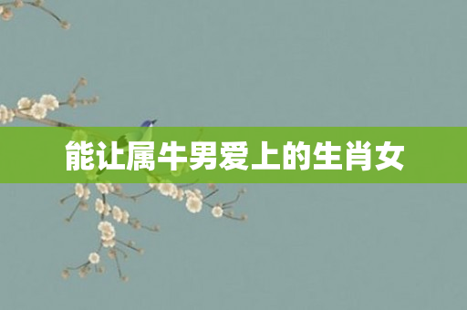 能让属牛男爱上的生肖女