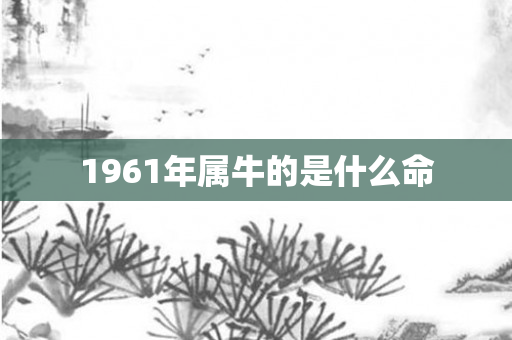 1961年属牛的是什么命