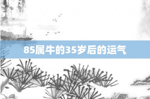 85属牛的35岁后的运气