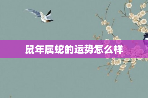 鼠年属蛇的运势怎么样