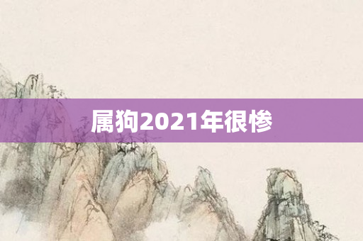 属狗2021年很惨
