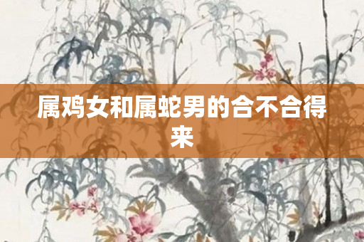 属鸡女和属蛇男的合不合得来