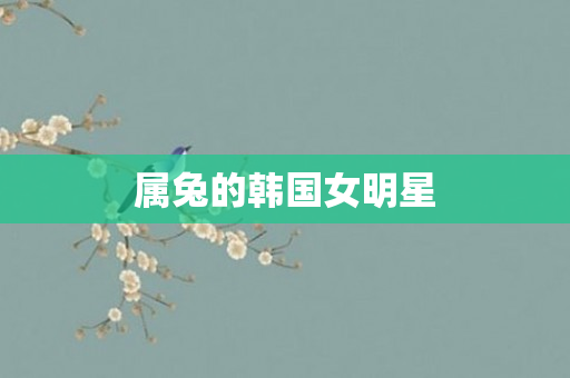 属兔的韩国女明星