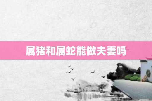 属猪和属蛇能做夫妻吗
