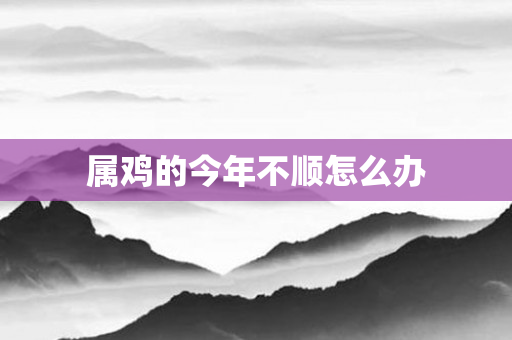 属鸡的今年不顺怎么办