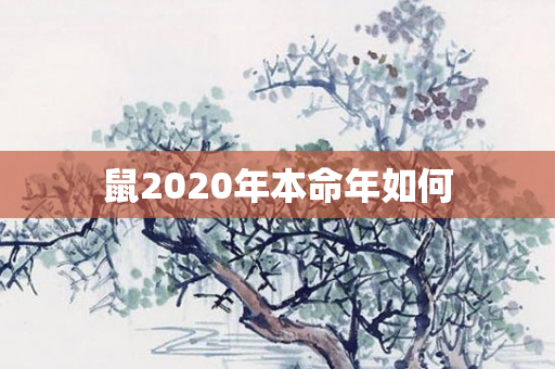 鼠2020年本命年如何
