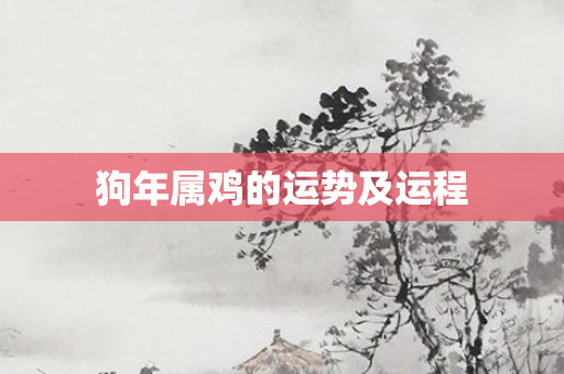 狗年属鸡的运势及运程