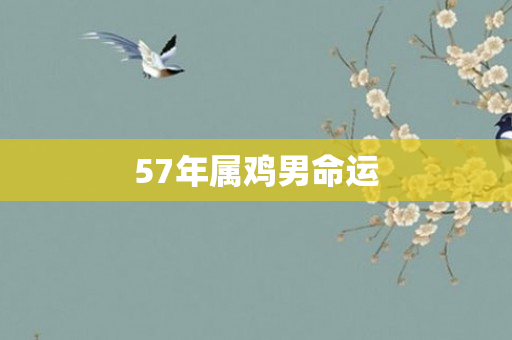 57年属鸡男命运